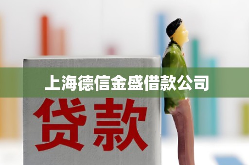  上海德信金盛借款公司