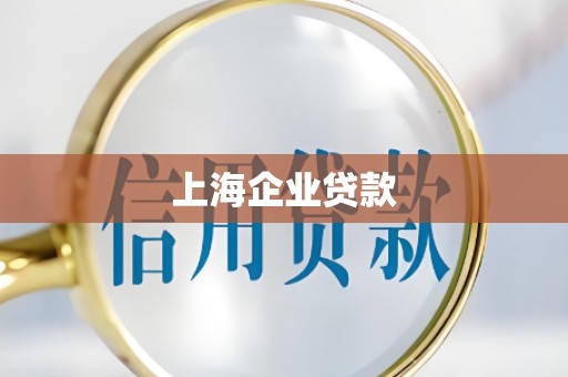 上海企业贷款 上海企业贷款