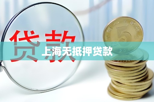 上海无抵押贷款 上海无抵押贷款
